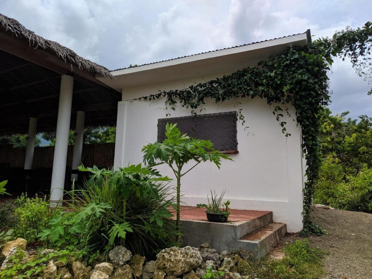 Funny Jellyfish Resort Moalboal Exterior photo